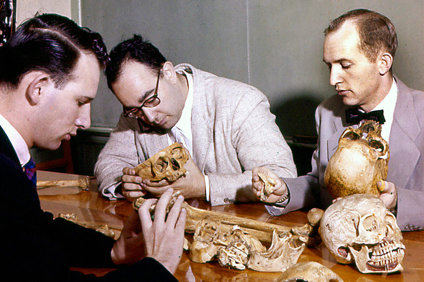 Three students looking at human skulls as part of their class work.
